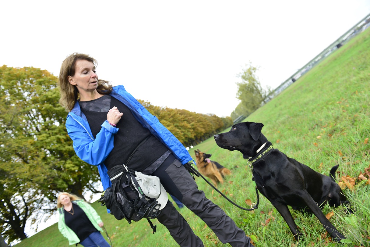 Hundetraining in schwierigen Situationen festigt das Wesen des Hundes